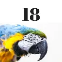 Huisnummers dieren (2).webp