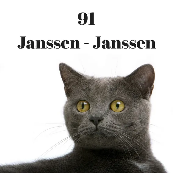 Huisnummers dieren.webp