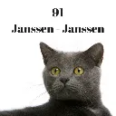 Huisnummers dieren.webp