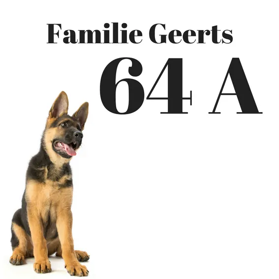 Huisnummers dieren (6).webp