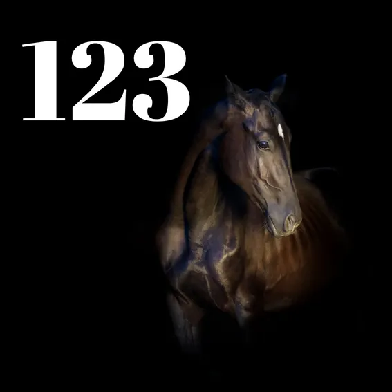 Huisnummers dieren (5).webp