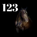 Huisnummers dieren (5).webp